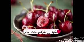 نگهداری طولانی مدت آلبالو
