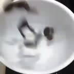 شکلات خانگی