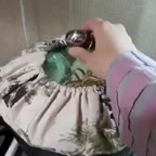 کیک پنبه ای بدون فر