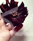گل شکلاتی
