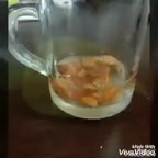 خرمای مجلسی