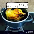 ✦ مـرغ شـڪم پـر انـارۍ ✦
