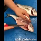 دستور پخت ماهی .