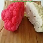 غذای گیاهی