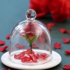 خلاقیت جالب