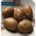 یه غذای راحت و خوشمزه برای بچه ها