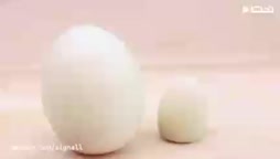 تزئین تخم مرغ