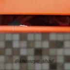 نظم دهی به کابینت