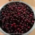 مربا البالو