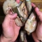 میگو پفکی باسس تارتار