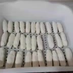 کشک خونگی