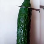 سفره آرایی دورچین