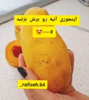 کاپ کیک انبه