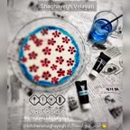 آموزش ژله تصویری هر چقدر از نگاهتون زیباس لایک کنید