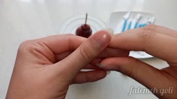 خرس فوندانتی«پارت۲»