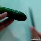 خیار به شکل گل