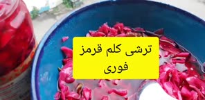 ترشی کلم بنفش