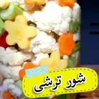 شور ترشی