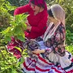 میرزا قاسمی