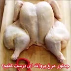 مرغ پروانه ای