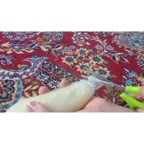 شیرینی دانمارکی ۲