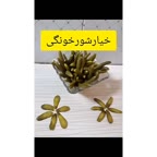 خیارشور خونگی قسمت۱