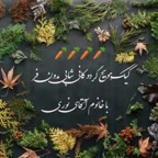 کیک هویج کافی شاپی بدون فر