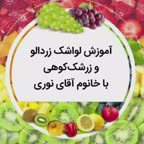 لواشک زردالو و زرشک کوهی