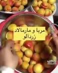 مربا و مارمالاد زرد آلو