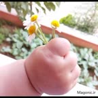 چزنک رغو خرم اباد