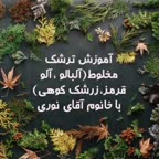 ترشک مخلوط