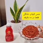 سس کچاپ خانگی