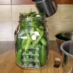 خیار شور خانگی?