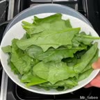 قارچ شکم پر