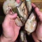 میگوی پفکی باسوس تارتار