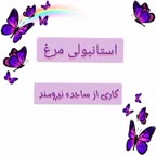 استانبولی مرغ