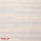 تزیینات کیک و دسر