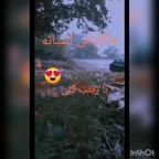 ماکارونی آشیانه