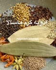 ادویه گرم ماسالا
